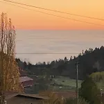Entre Deux Ailes - With In Alsace * Grendelbruch