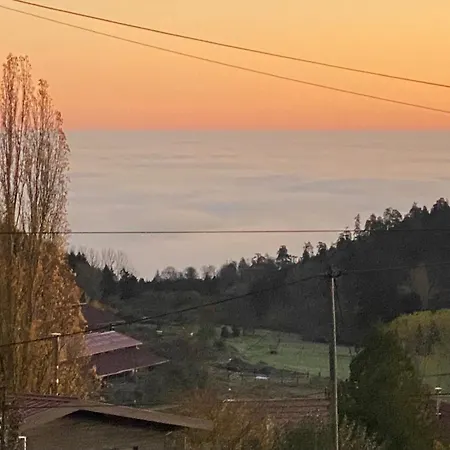 Entre Deux Ailes - With In Alsace