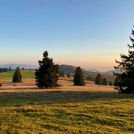 Entre Deux Ailes - With In Alsace *