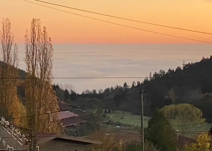 Entre Deux Ailes - With In Alsace