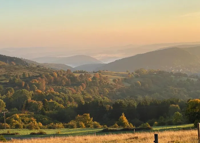 Apartment Entre Deux Ailes - With In Alsace