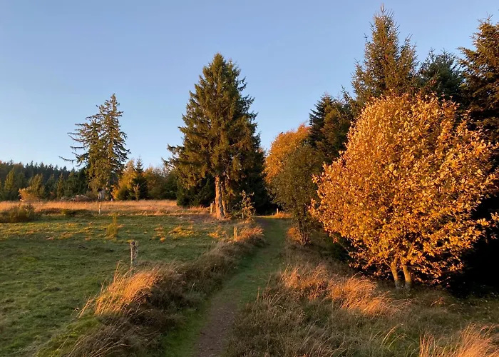 Entre Deux Ailes - With In Alsace Apartment *